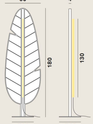 Eden_F1_Banana_Drawing
