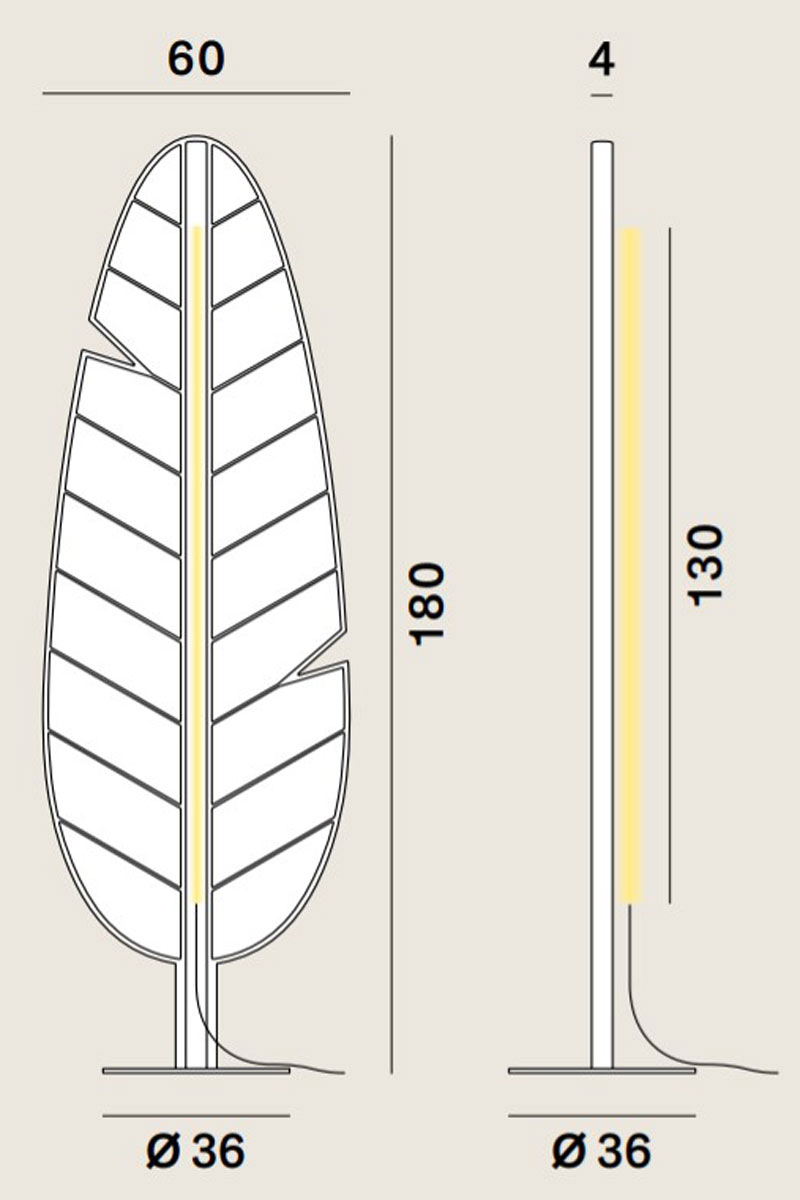 Eden_F1_Banana_Drawing