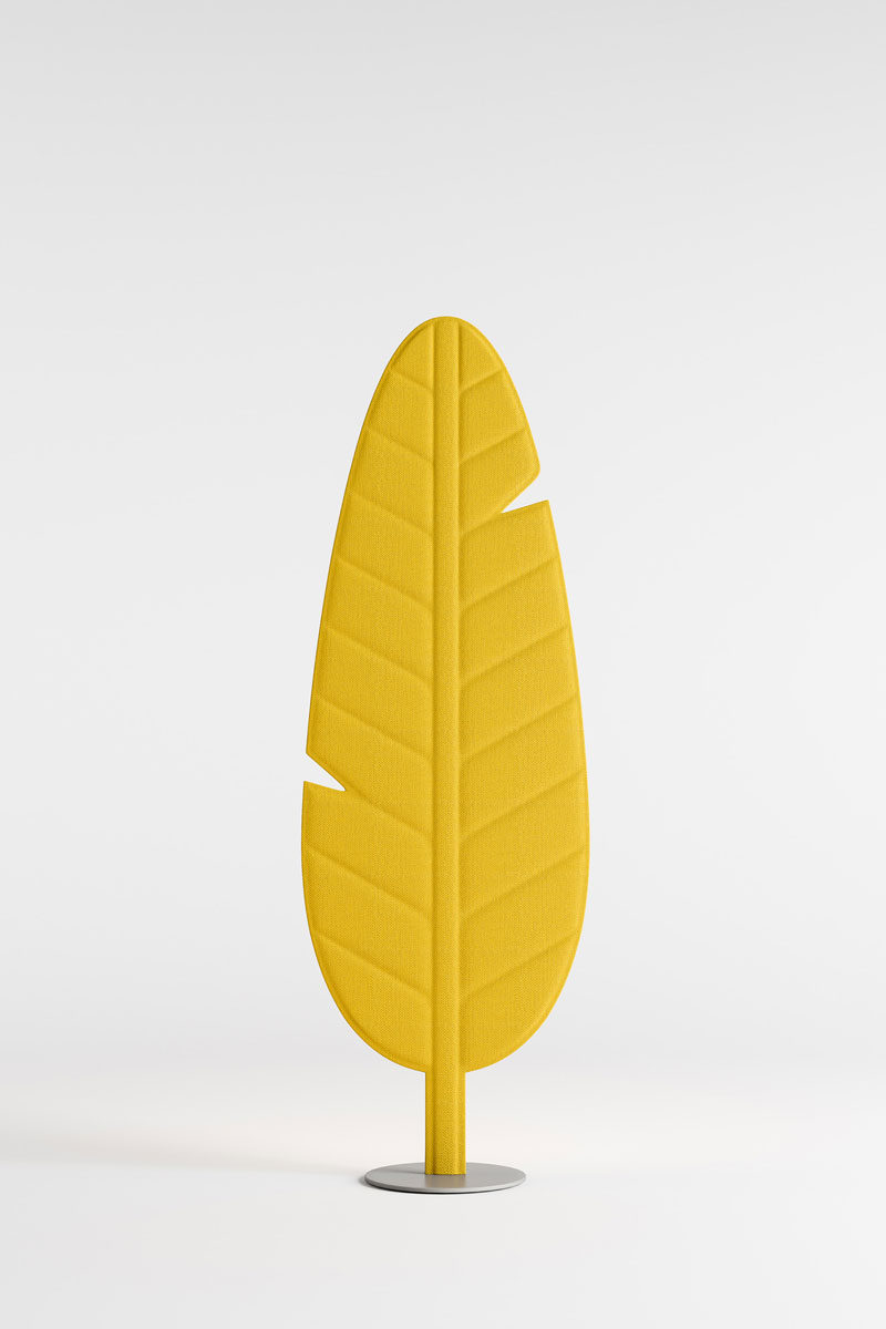 Eden_F1_Banana_GialloGirasole
