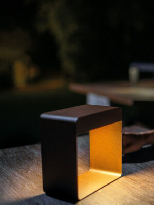 Dama_DarkBrown_Ambient_03