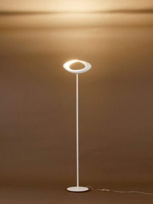 cabildo luce